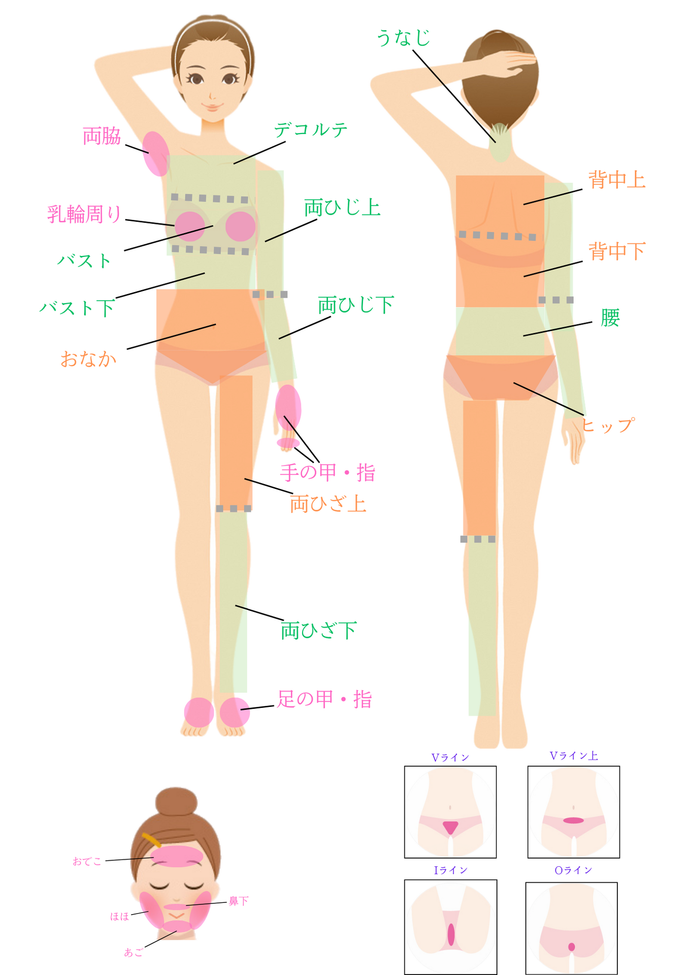 部位説明